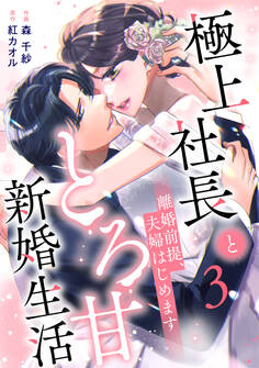 離婚前提、夫婦はじめます~極上社長ととろ甘新婚生活~