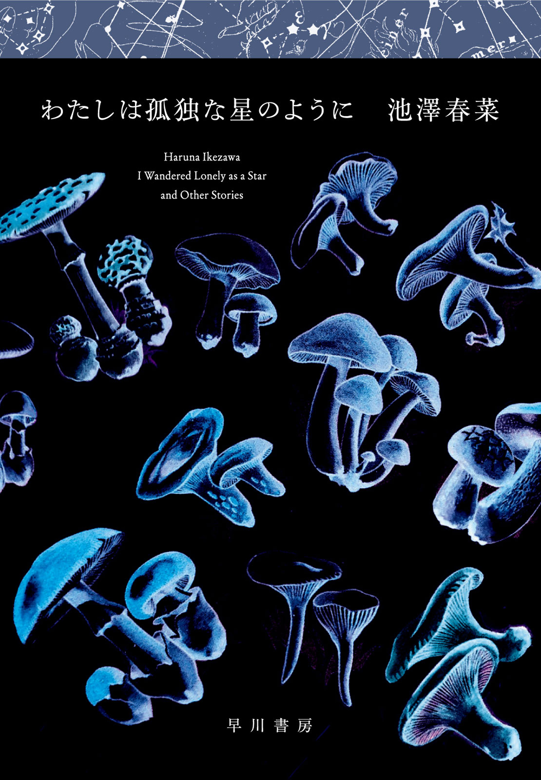 わたしは孤独な星のように