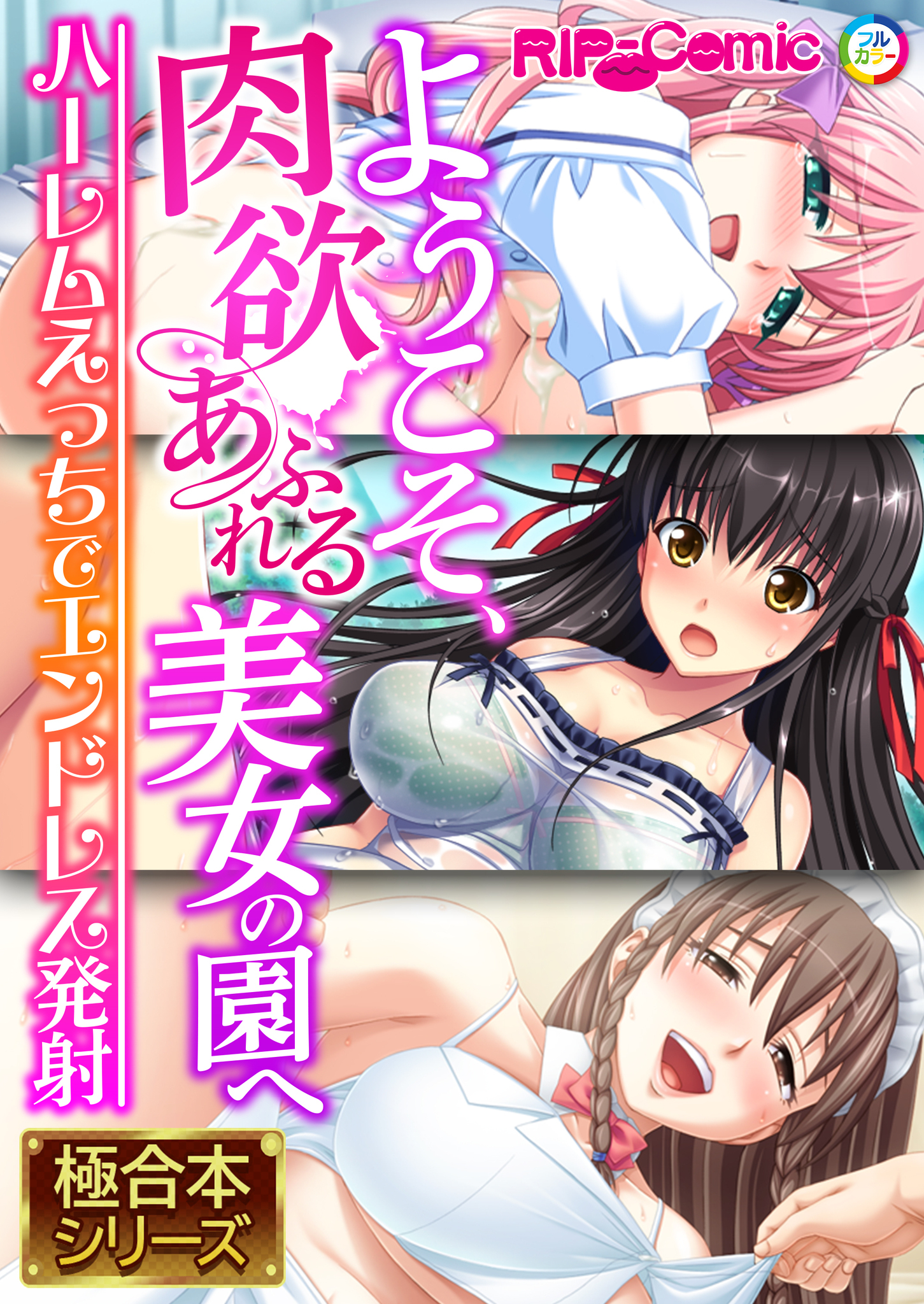 ようこそ、肉欲あふれる美女の園へ ～ハーレムえっちでエンドレス発射～【極合本シリーズ】