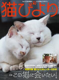 猫びより2018年1月号 Vol.97