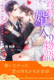 【全1-6セット】政略婿入り物語~愛の押し売りはご遠慮致します~【イラスト付】