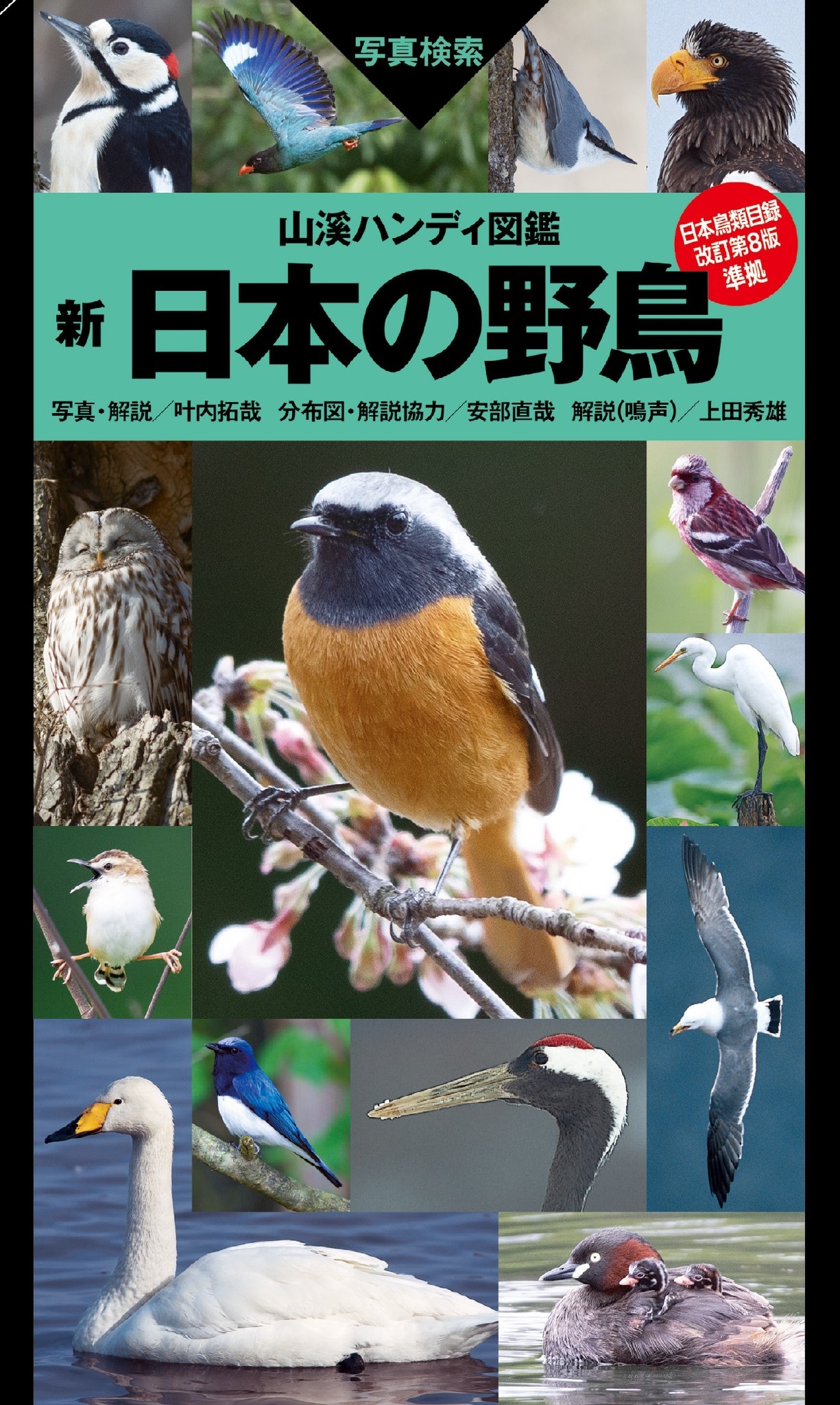 山溪ハンディ図鑑 新 日本の野鳥
