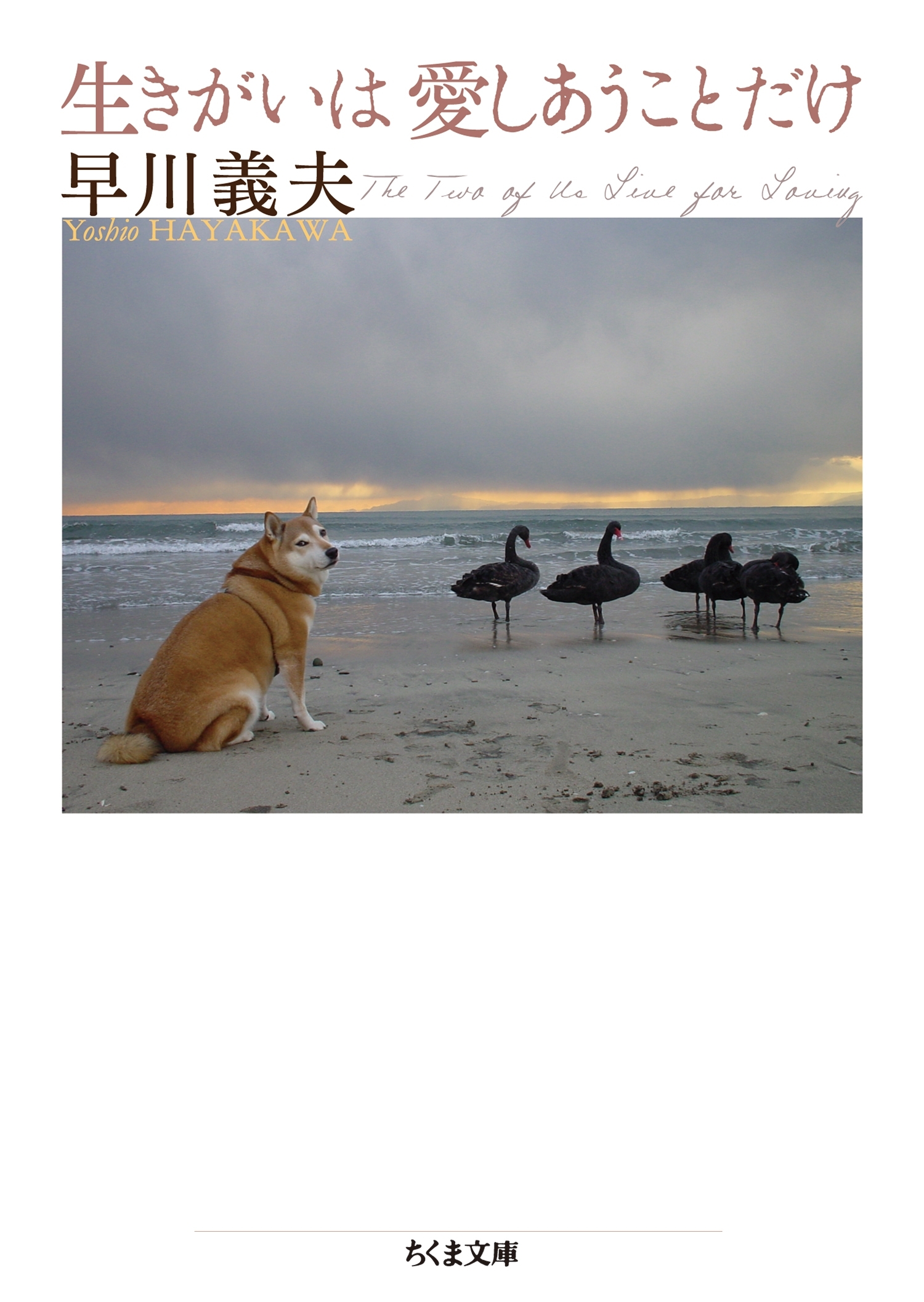 生きがいは愛しあうことだけ