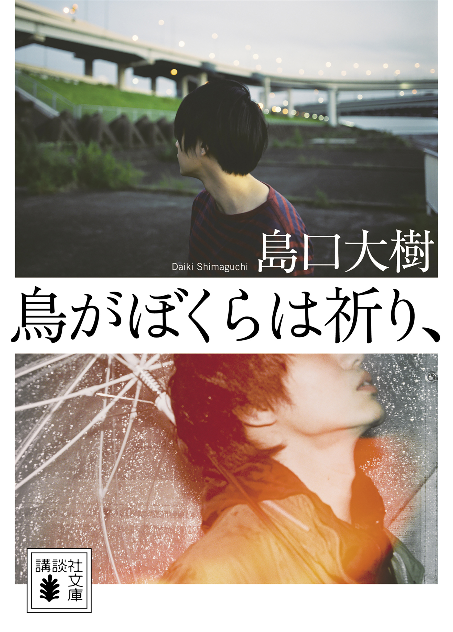 鳥がぼくらは祈り、