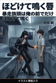 暴走族頭は俺の前でだけほどけて鳴く(挿絵版)