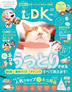 晋遊舎ムック ネコDK vol.6