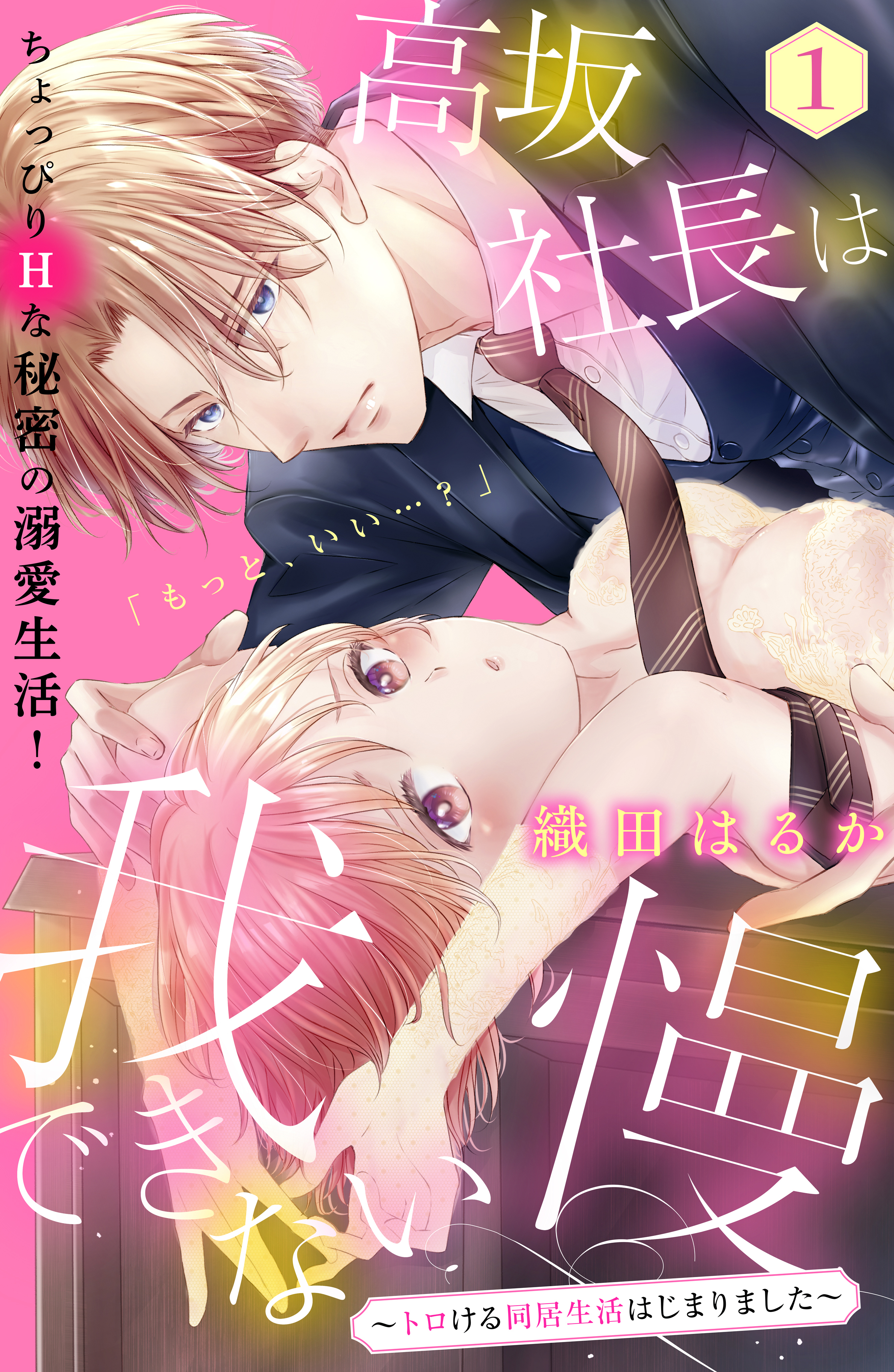 【期間限定　無料お試し版　閲覧期限2026年9月2日】高坂社長は我慢できない　～トロける同居生活はじまりました～　分冊版（１）