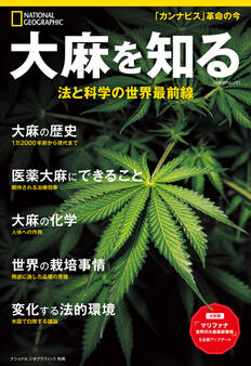 大麻を知る 法と科学の世界最前線