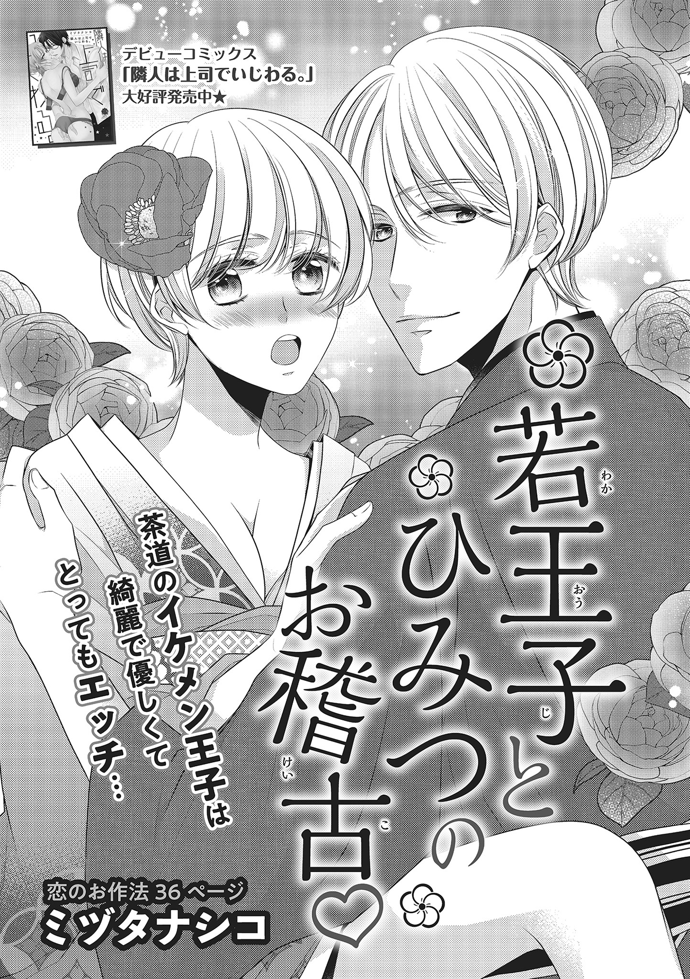 若王子とひみつのお稽古 【短編】