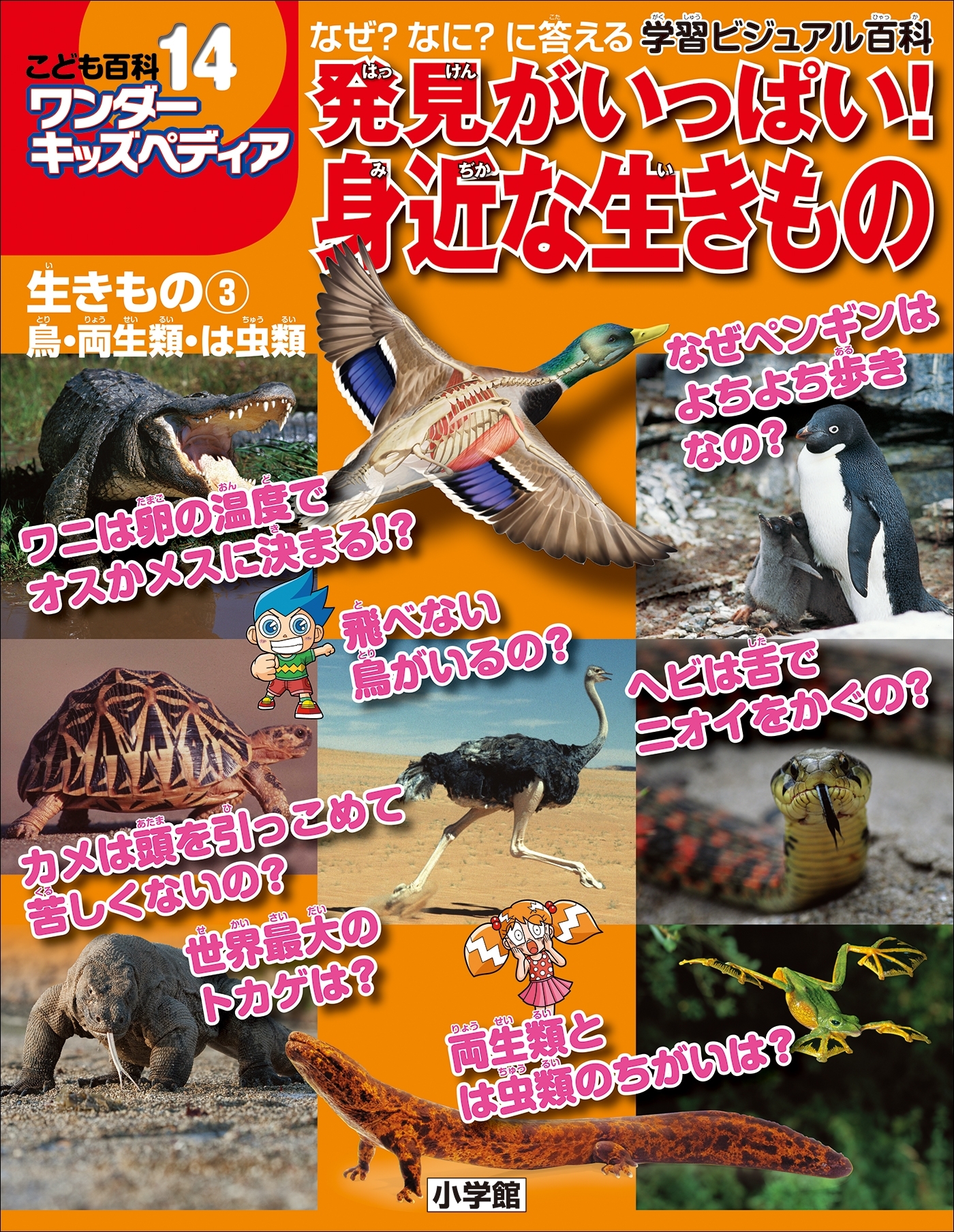 生きもの