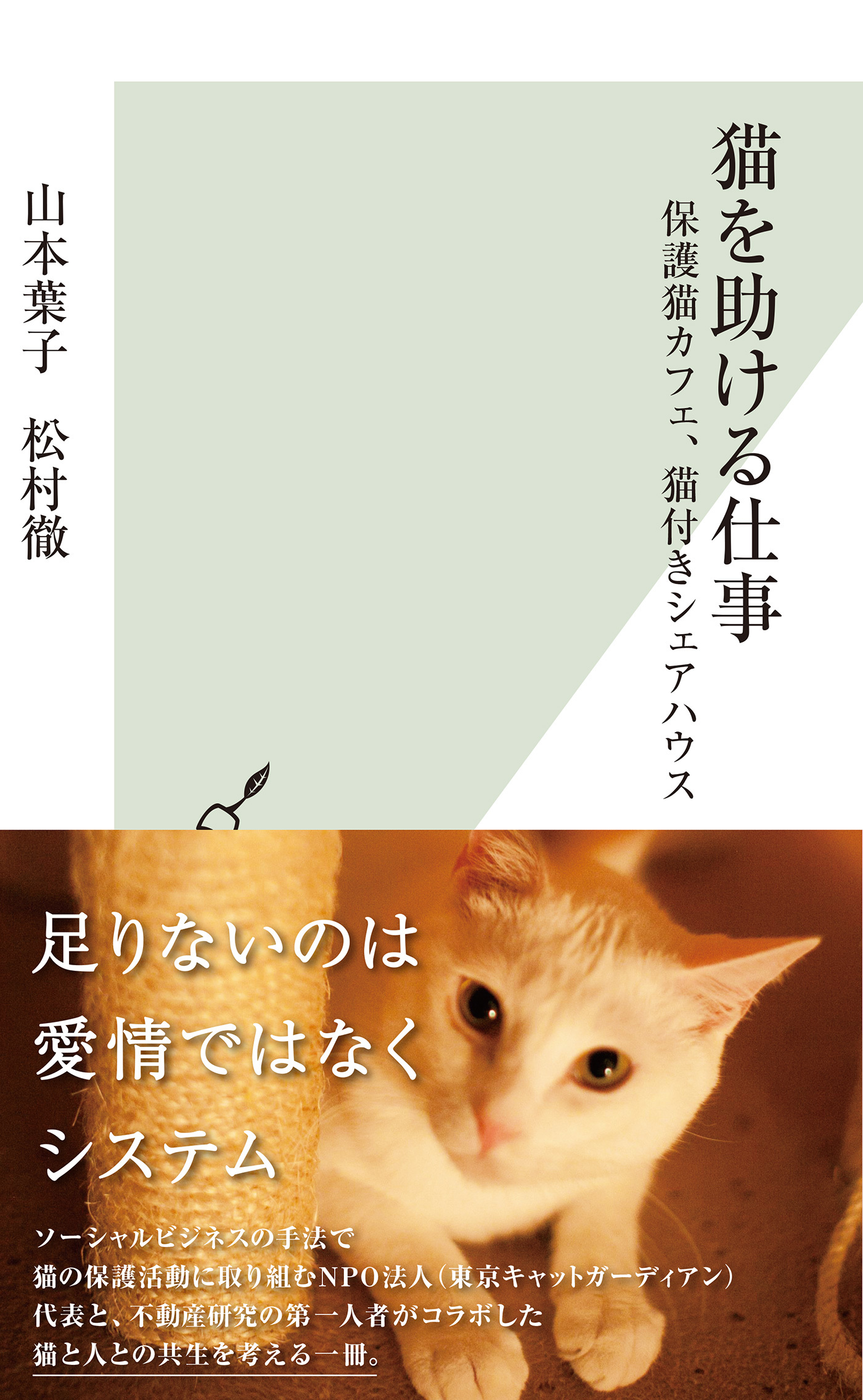 猫を助ける仕事～保護猫カフェ、猫付きシェアハウス～