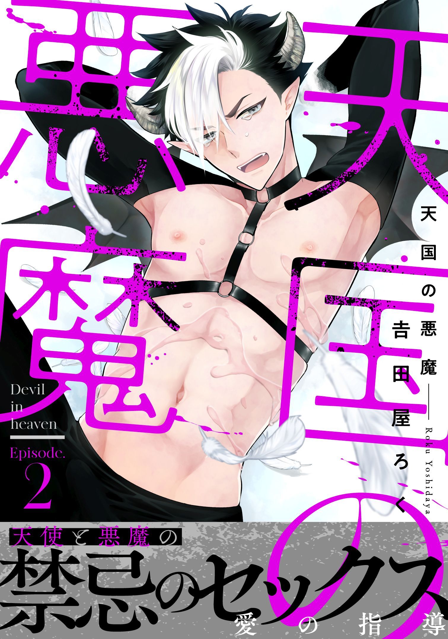 天国の悪魔2