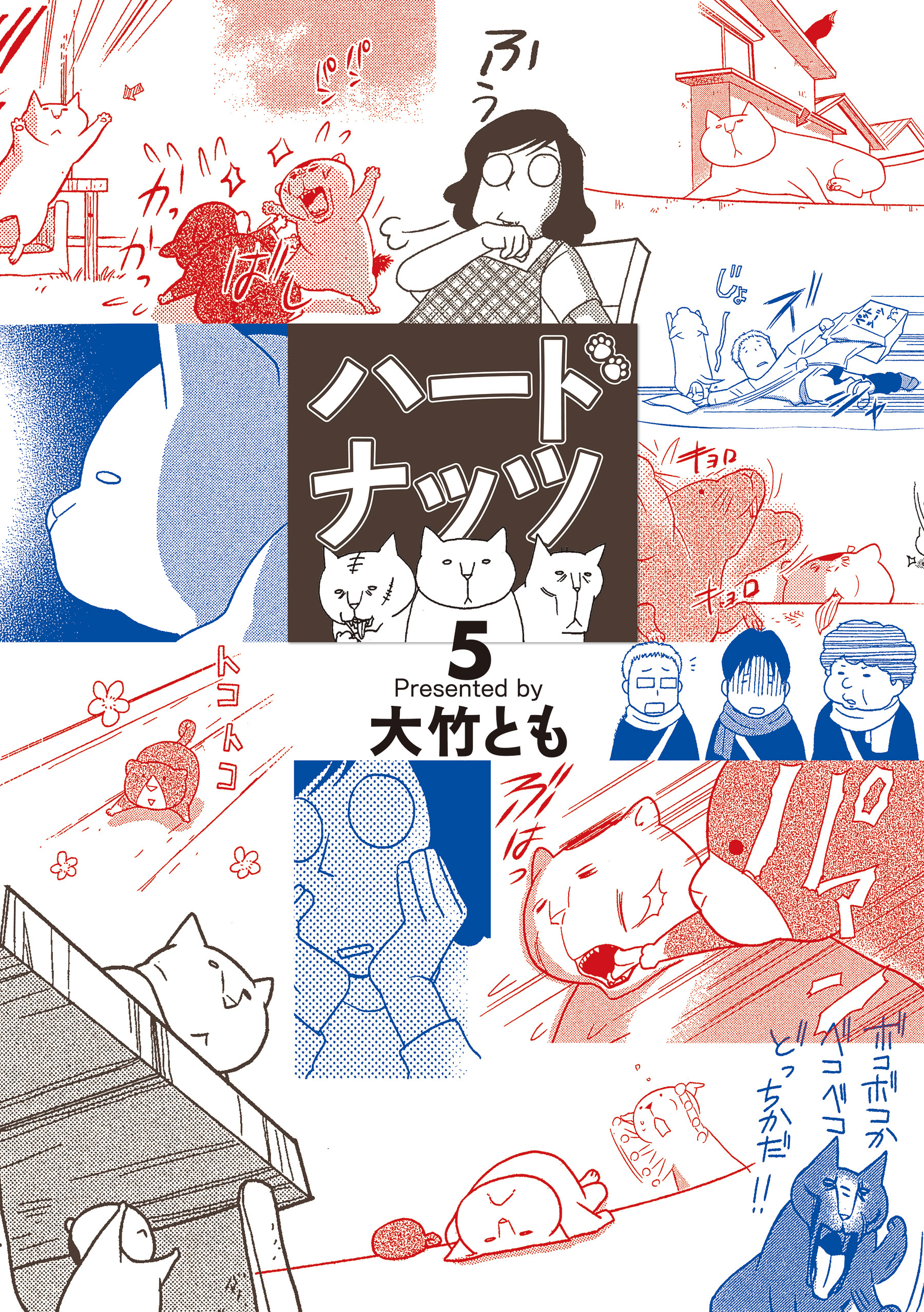 ハードナッツ 5