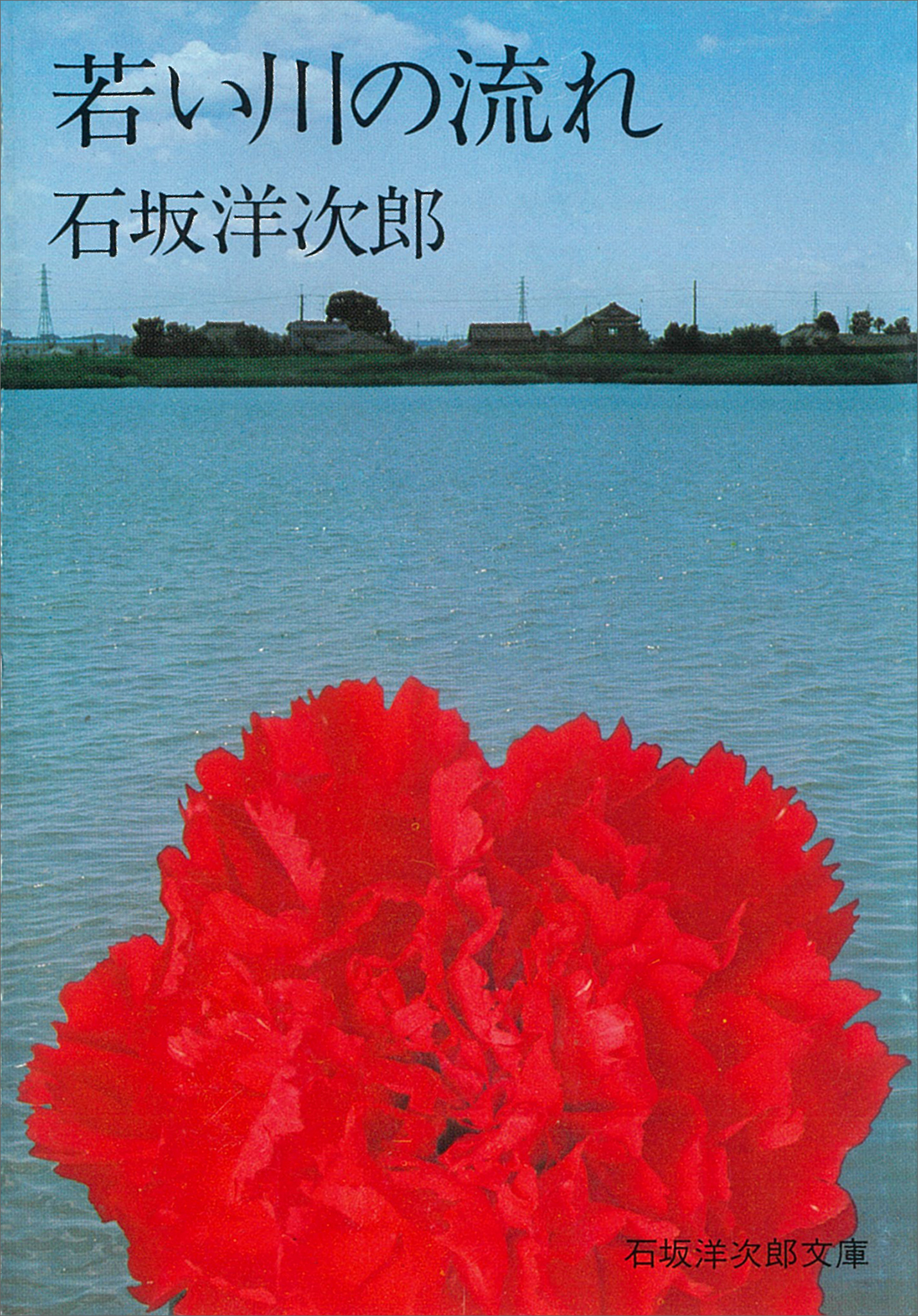 若い川の流れ