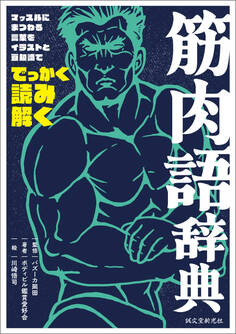 筋肉語辞典
