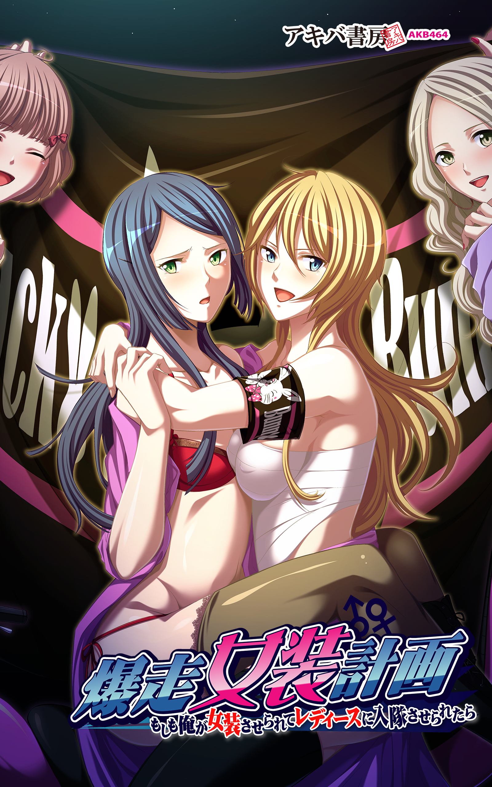 爆走女装計画～もしも俺が女装させられてレディースに入隊させられたら～