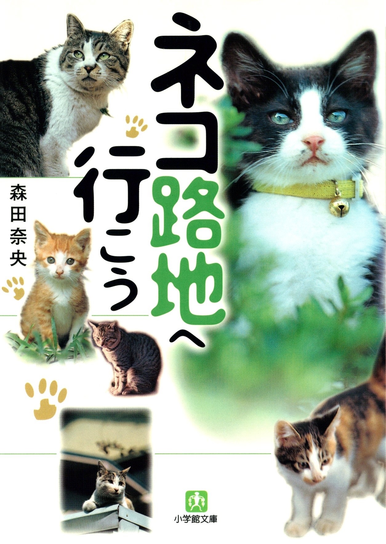 ネコ路地へ行こう（小学館文庫）