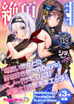 絶頂天国vol113 ~可愛い彼女との好き好き愛されDays!くノ一!サキュバス!女騎士!純愛あまエッチ!~【シチュコレ!シリーズ】