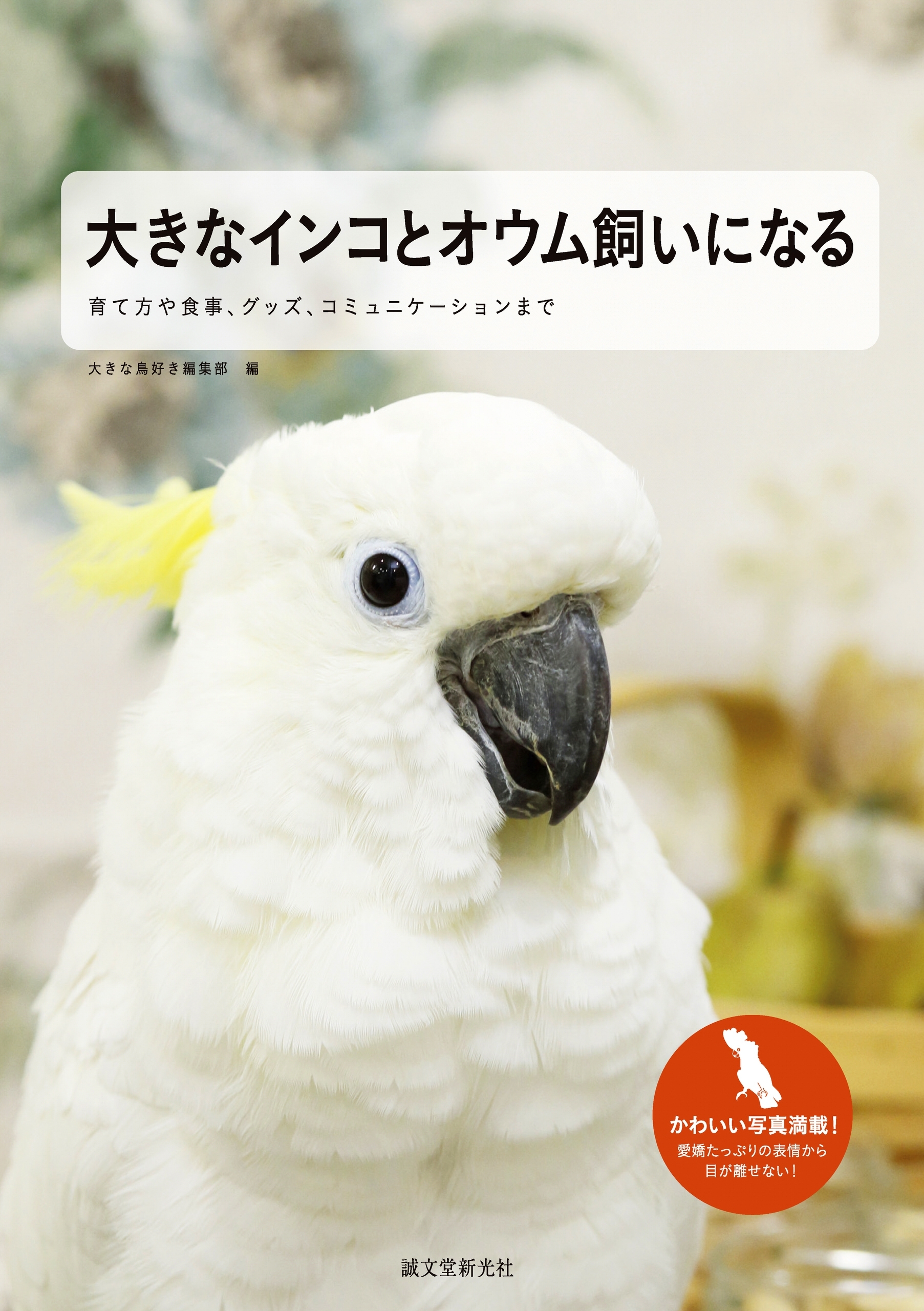 大きなインコとオウム飼いになる
