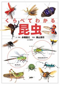 くらべてわかる 昆虫