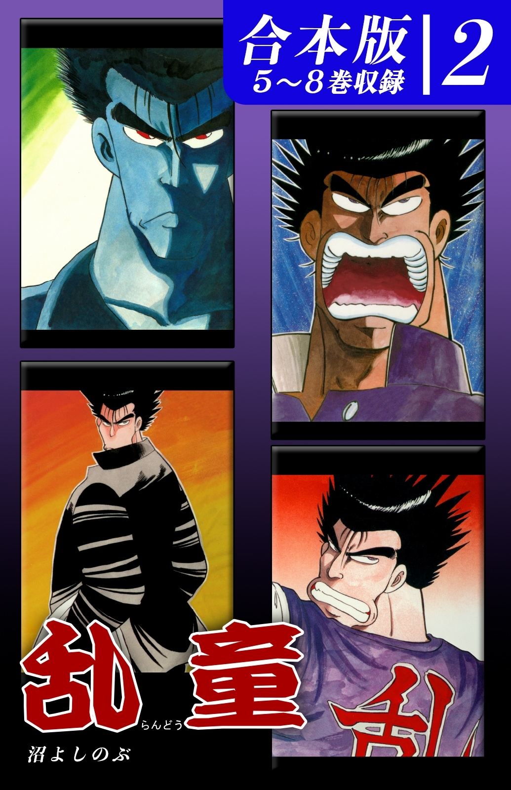 乱童《合本版》(2)　５～８巻収録