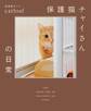 保護猫チャイさんの日常