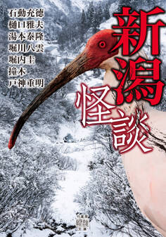 新潟怪談