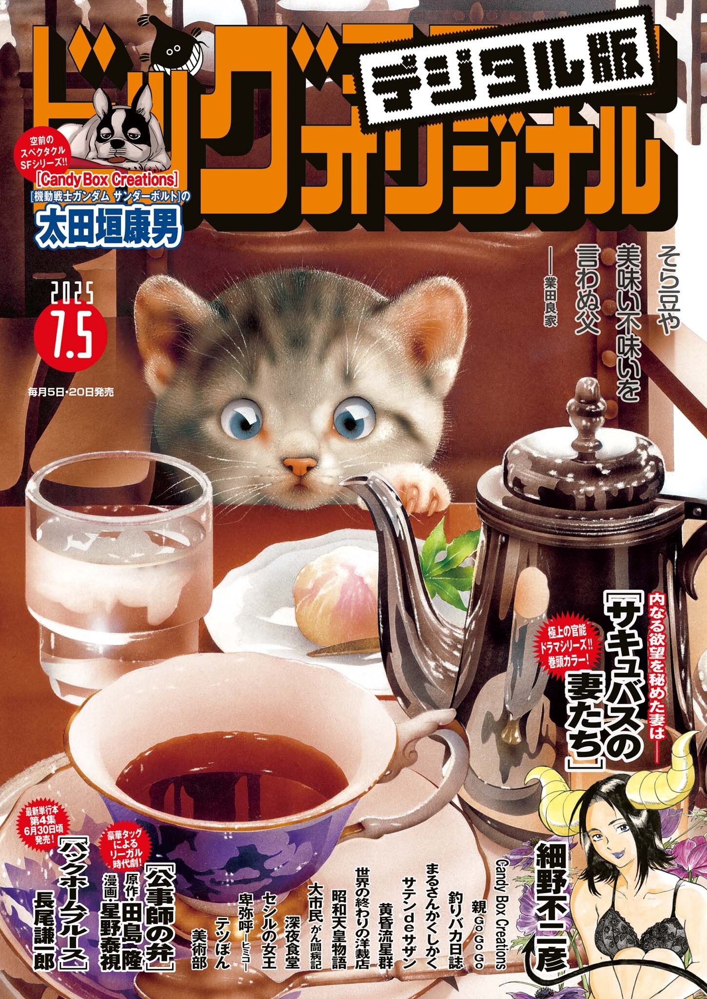 ビッグコミックオリジナル　2025年13号（2025年6月20日発売)