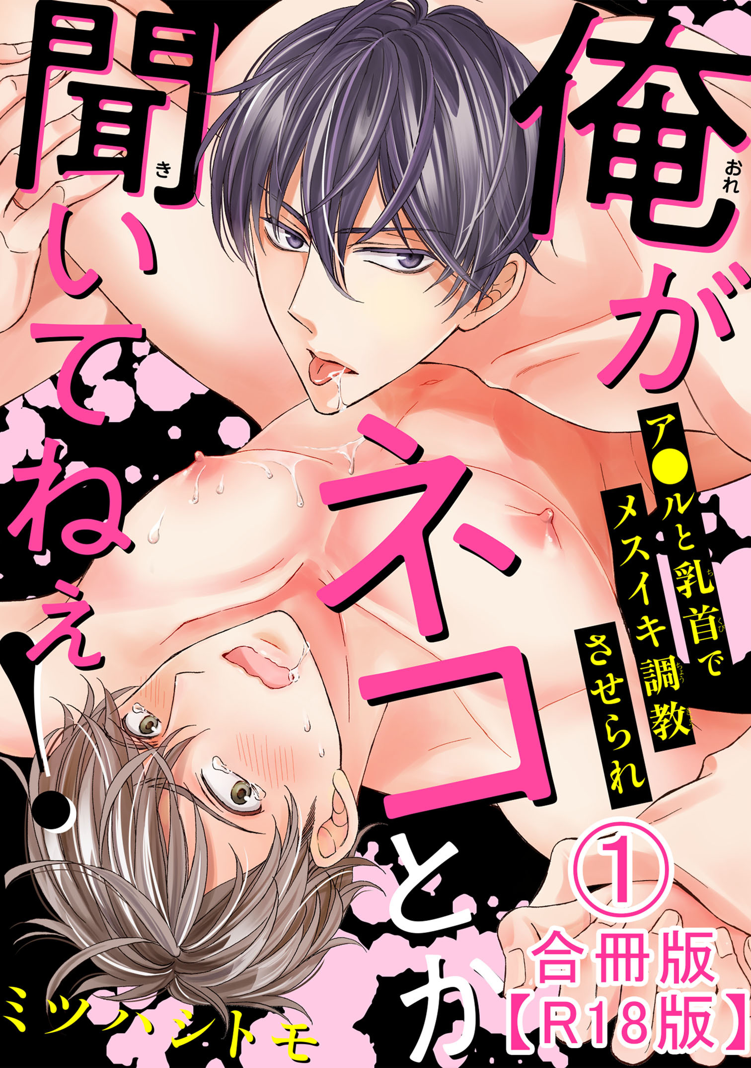 俺がネコとか聞いてねぇ！　ア●ルと乳首でメスイキ調教させられ合冊版R18版1