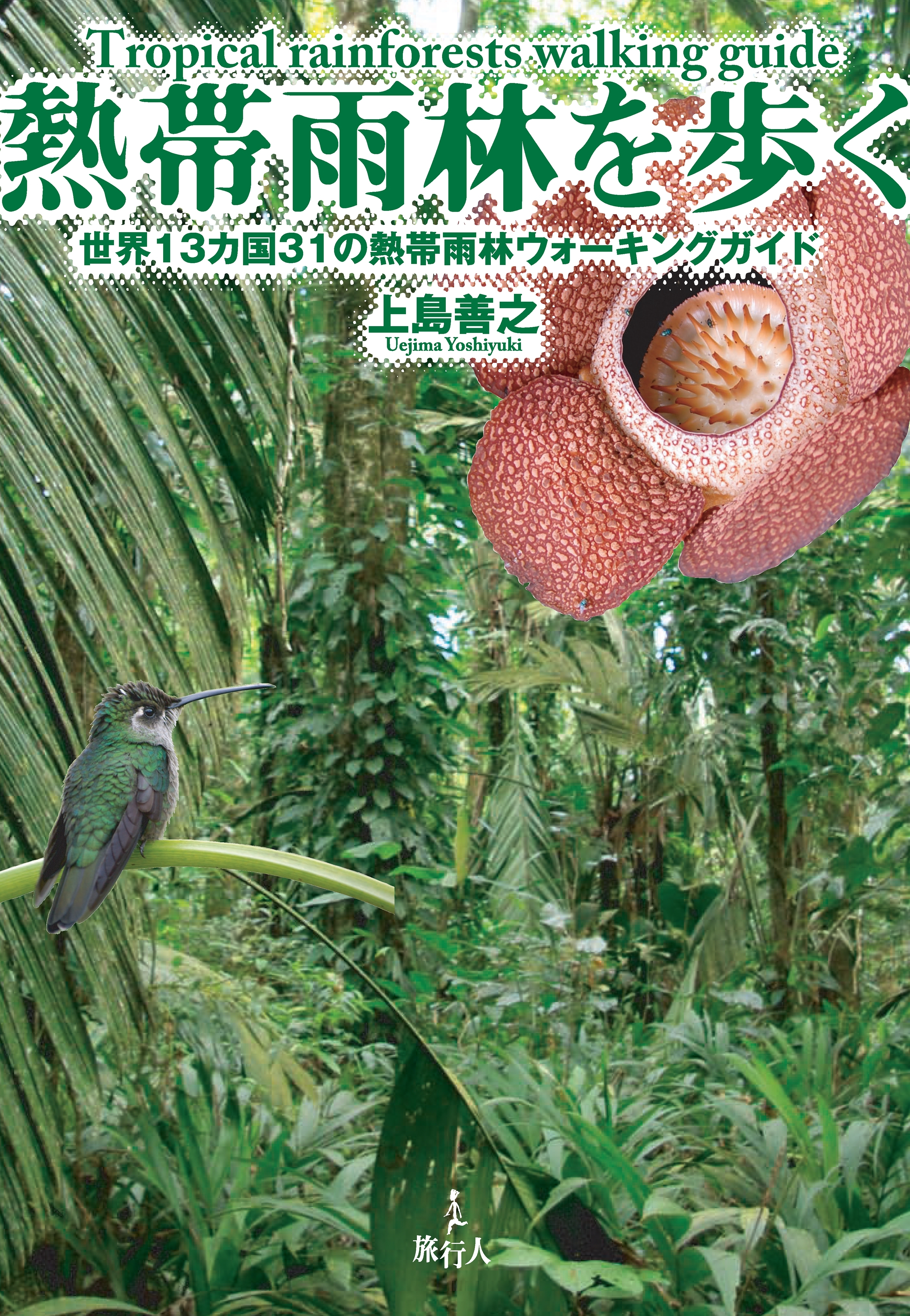 熱帯雨林を歩く