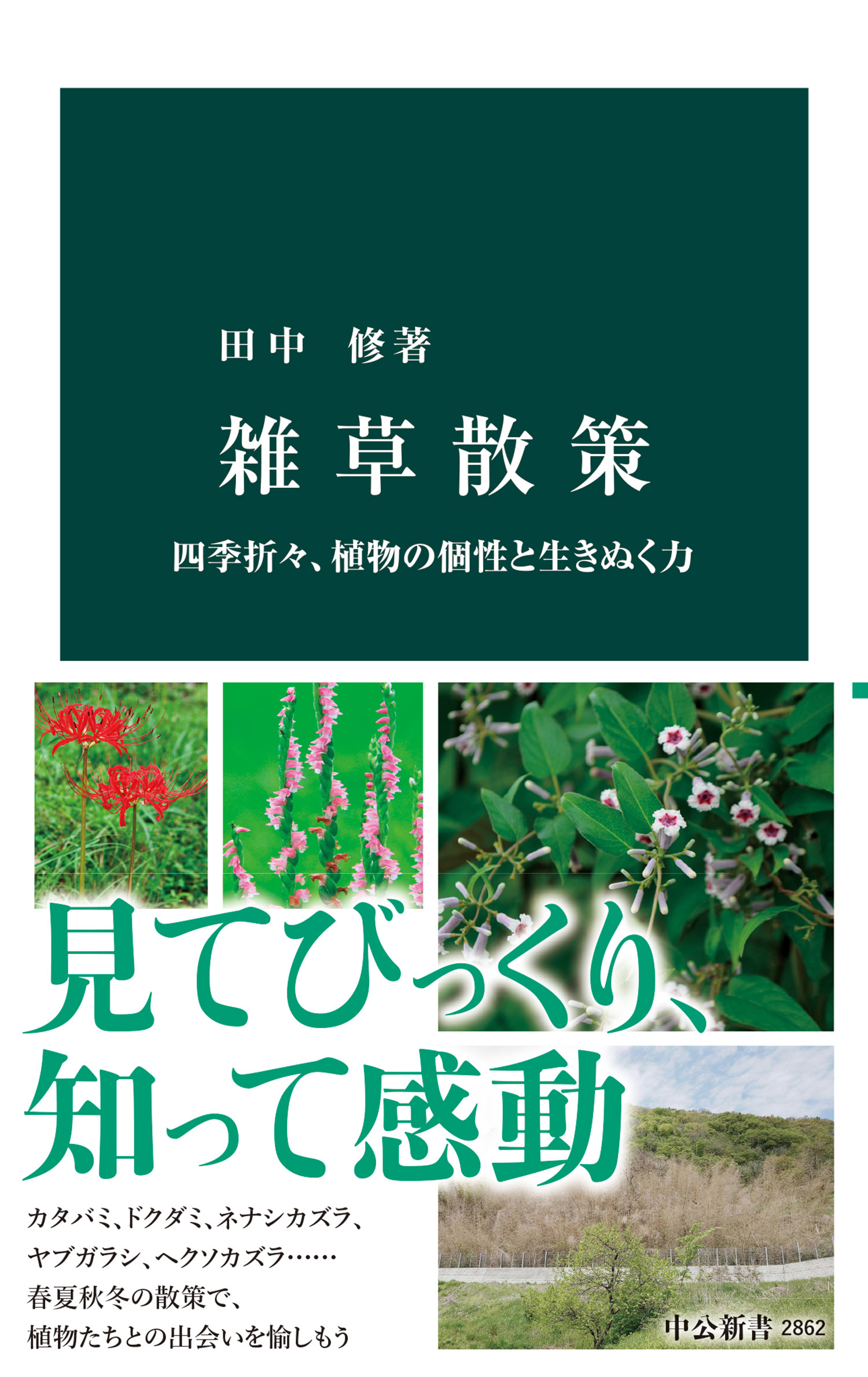 雑草散策　四季折々、植物の個性と生きぬく力