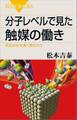 分子レベルで見た触媒の働き 反応はなぜ速く進むのか