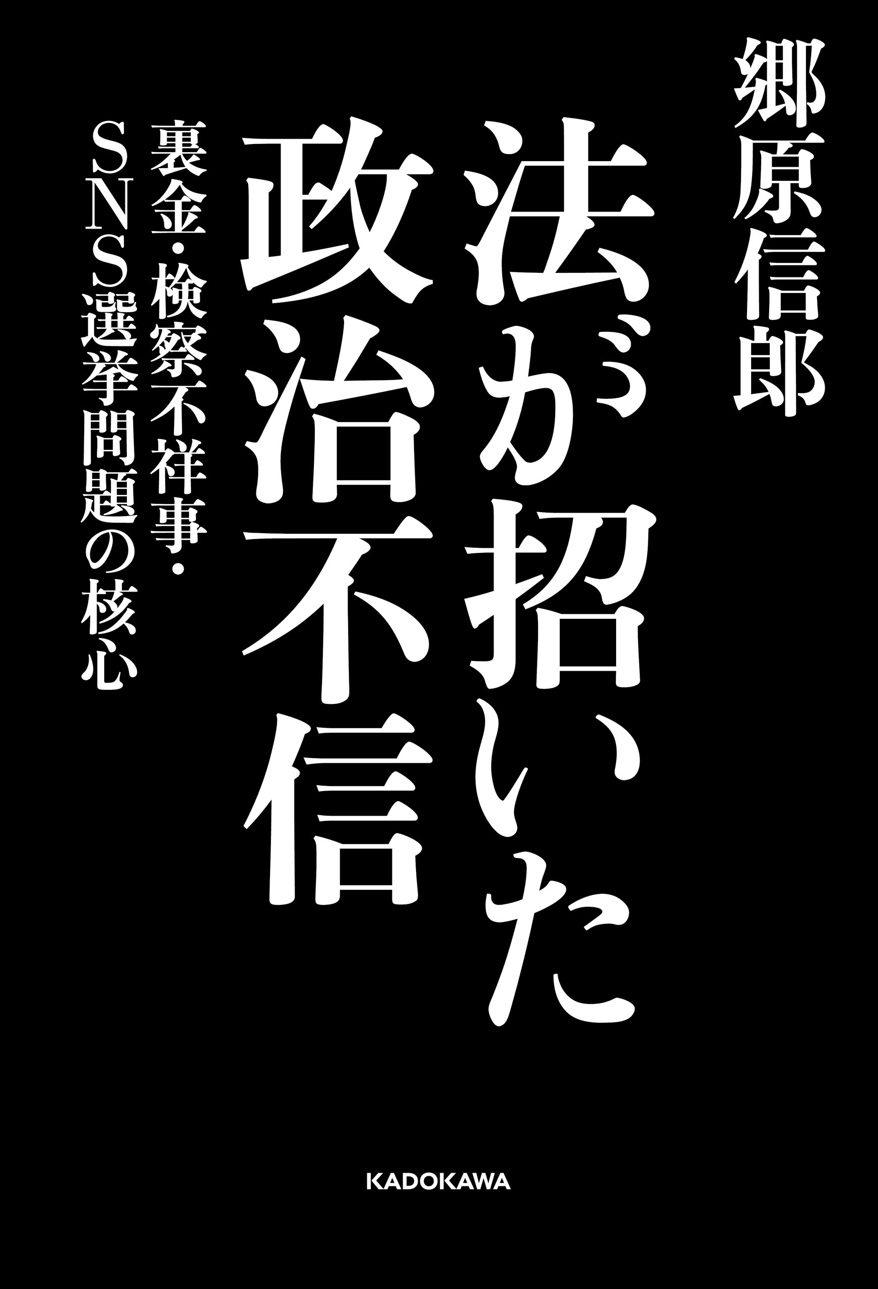 法が招いた政治不信　裏金・検察不祥事・SNS選挙問題の核心