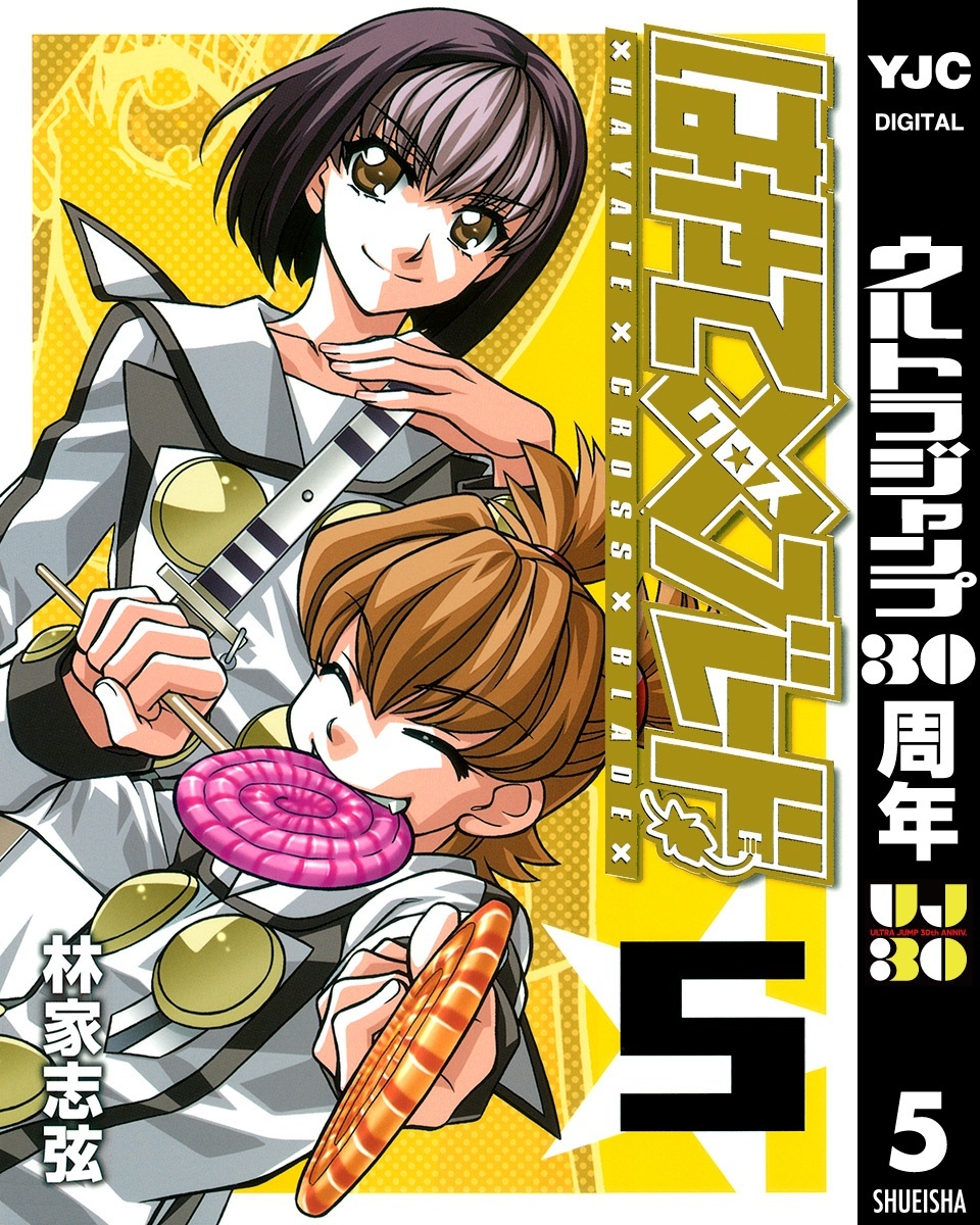 はやて×ブレード 5