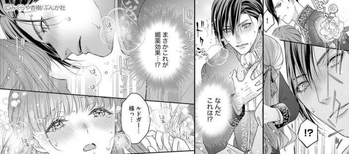 悪役王子の一途な執着、果てない溺愛。 モブ令嬢なのに極上愛撫でイかされっぱなしです！（分冊版）　【第1話】のコマ