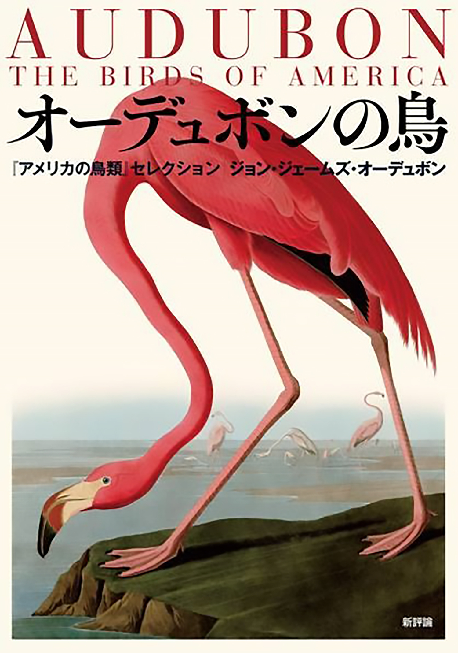 オーデュボンの鳥：『アメリカの鳥類』セレクション