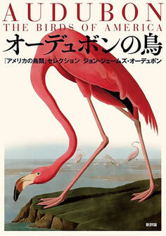 オーデュボンの鳥:『アメリカの鳥類』セレクション