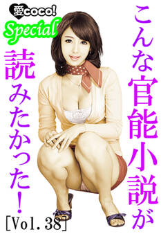 こんな官能小説が読みたかった!vol.38