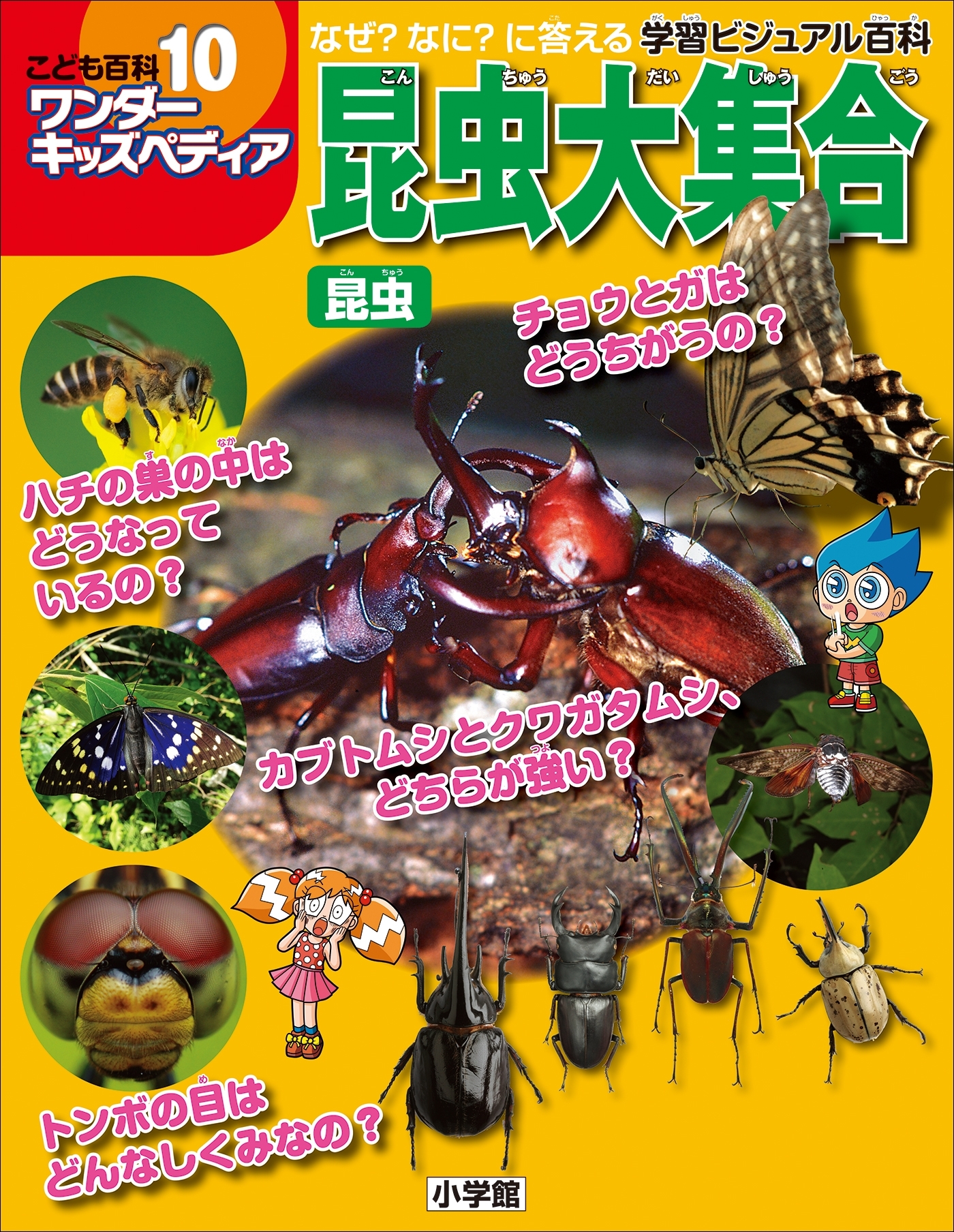 ワンダーキッズペディア10　昆虫 ～昆虫大集合～