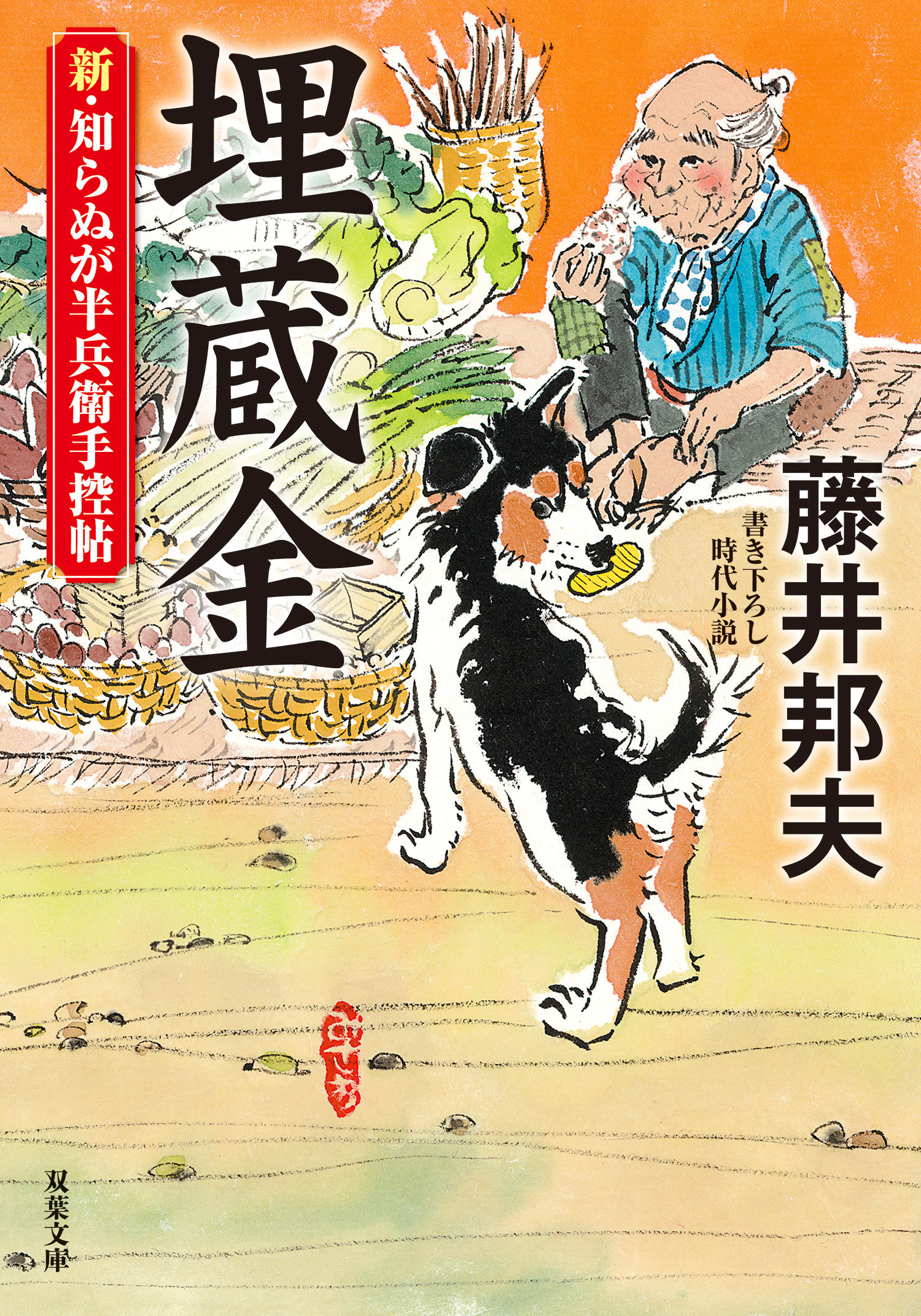 新・知らぬが半兵衛手控帖 ： 15 埋蔵金