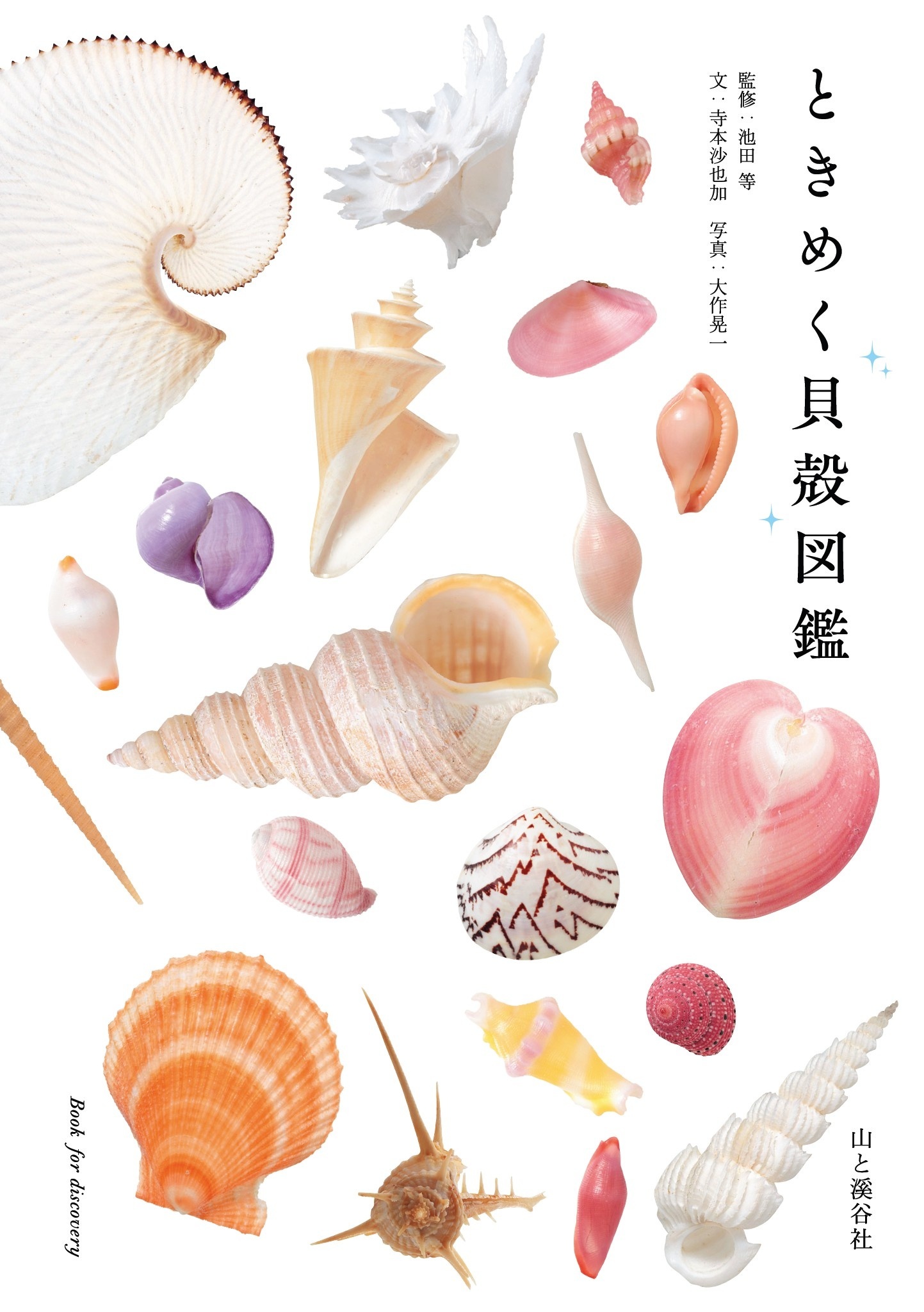ときめく貝殻図鑑