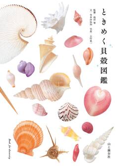 ときめく貝殻図鑑
