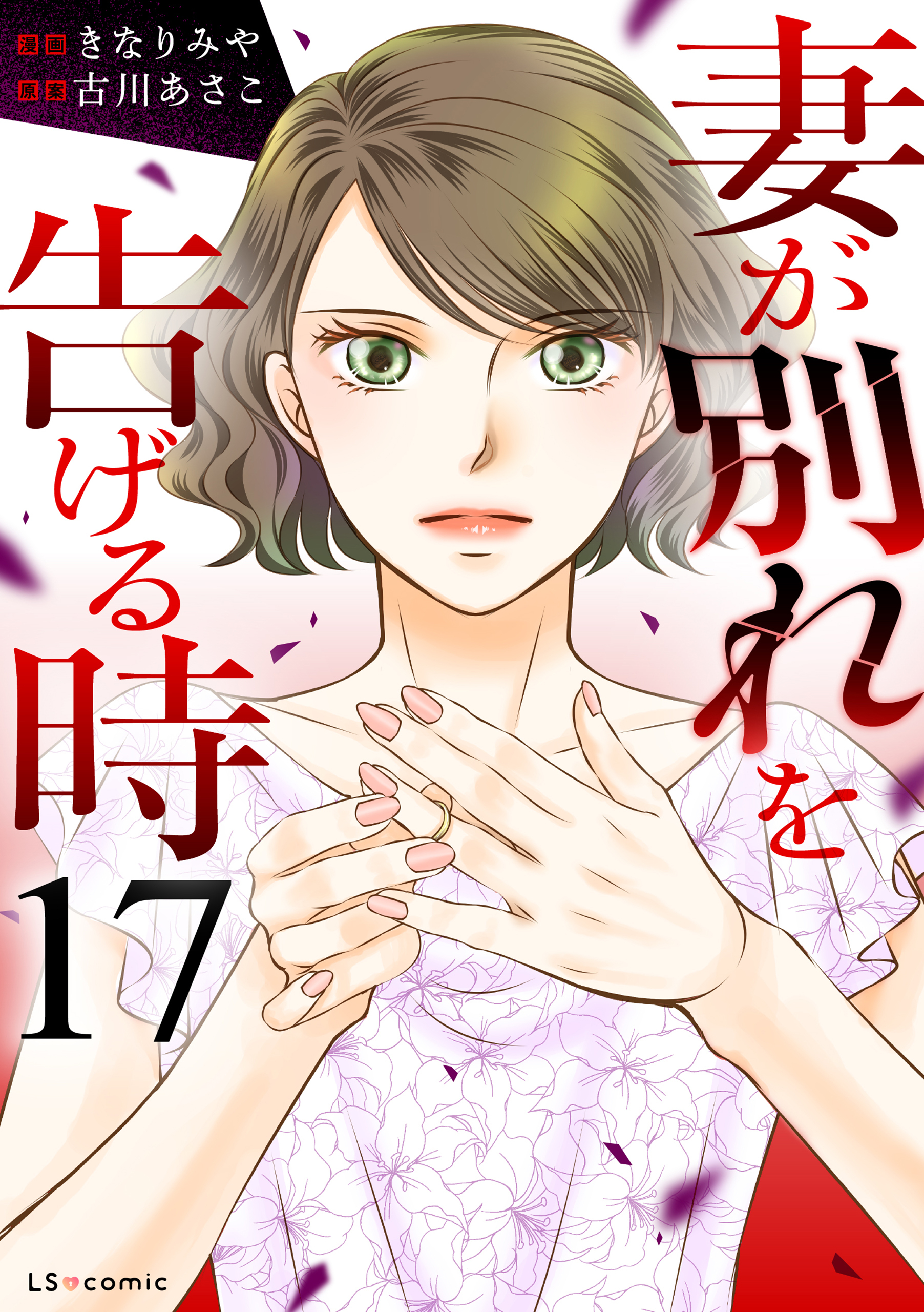 妻が別れを告げる時17