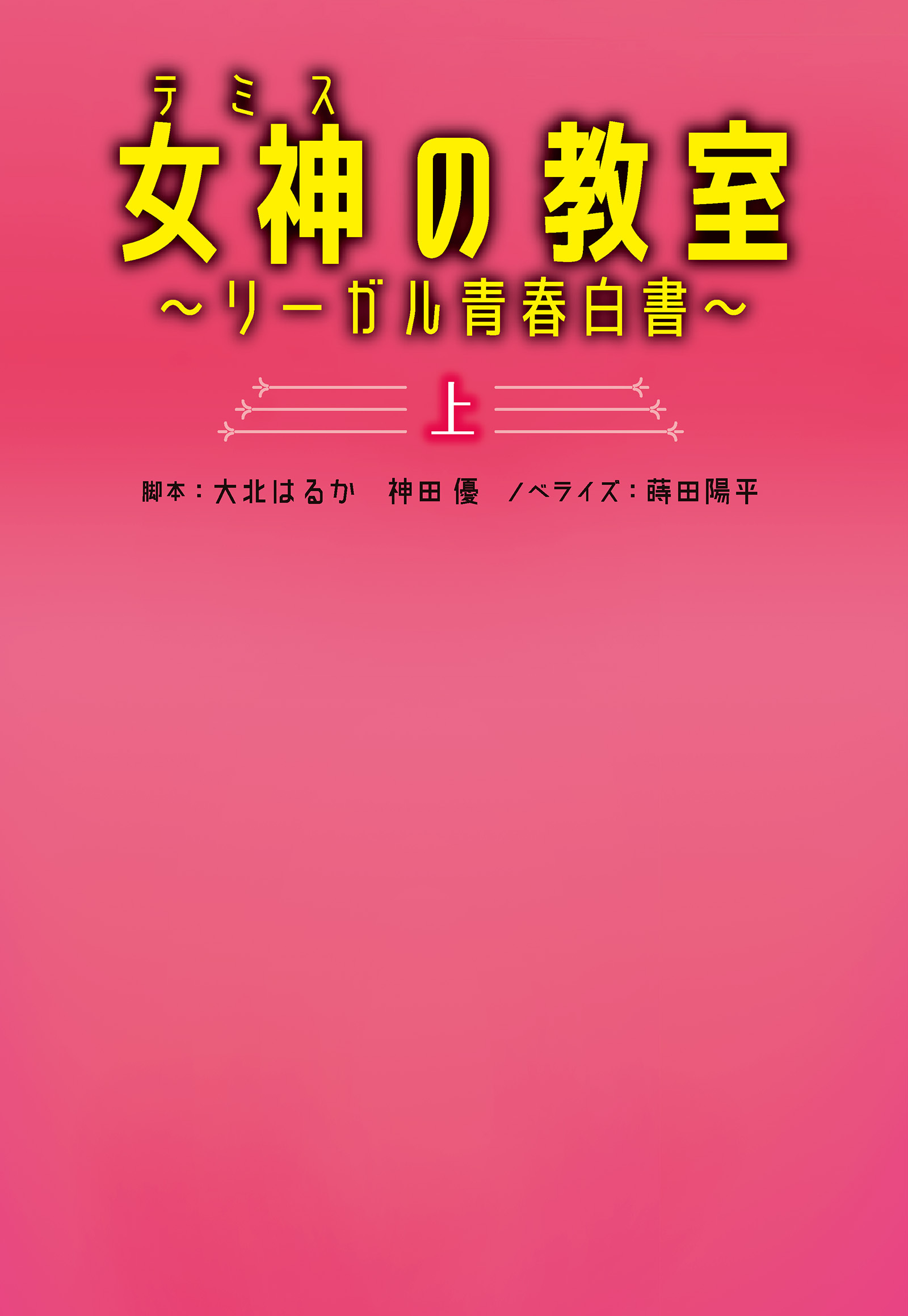 女神〔テミス〕の教室（上）～リーガル青春白書～