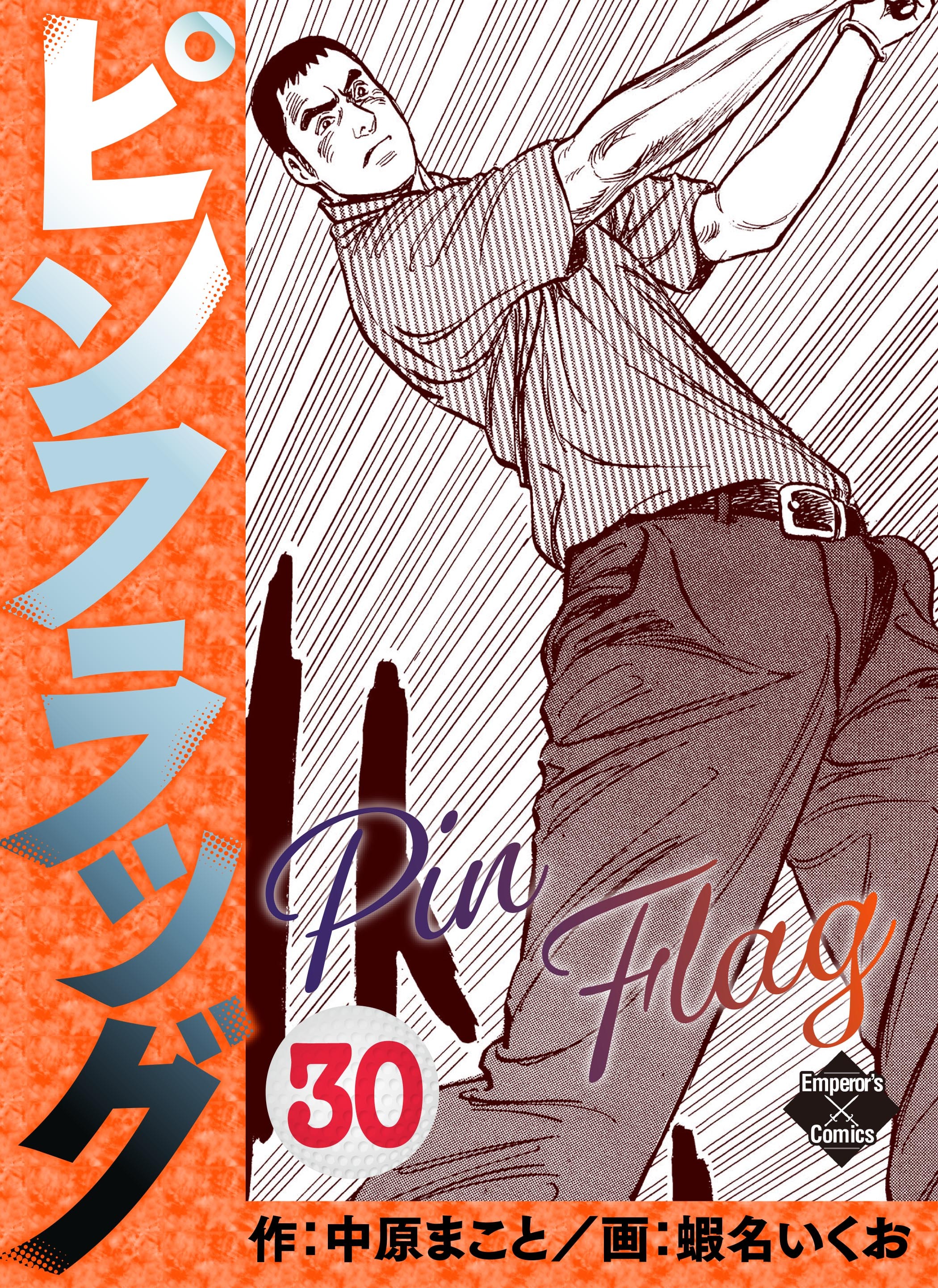 ピンフラッグ 30