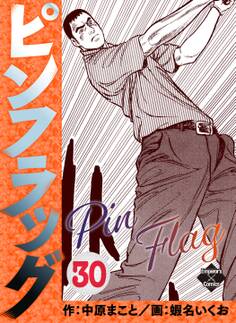 ピンフラッグ 30
