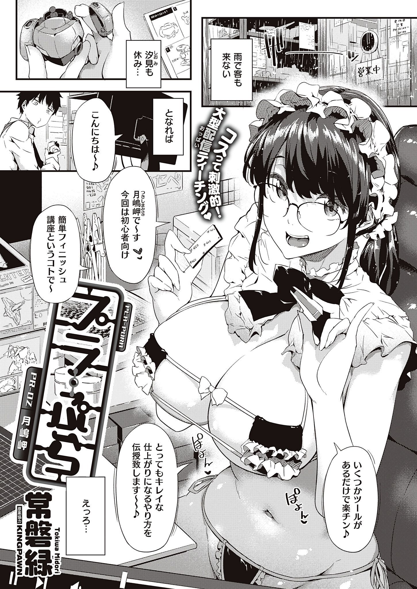 プラ・ぷら PR-02 月嶋岬