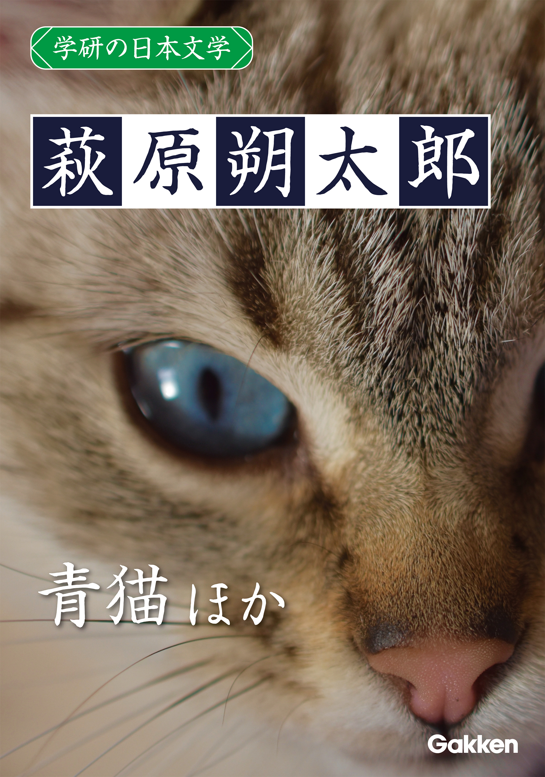 学研の日本文学 萩原朔太郎 青猫 「青猫」以後 定本青猫