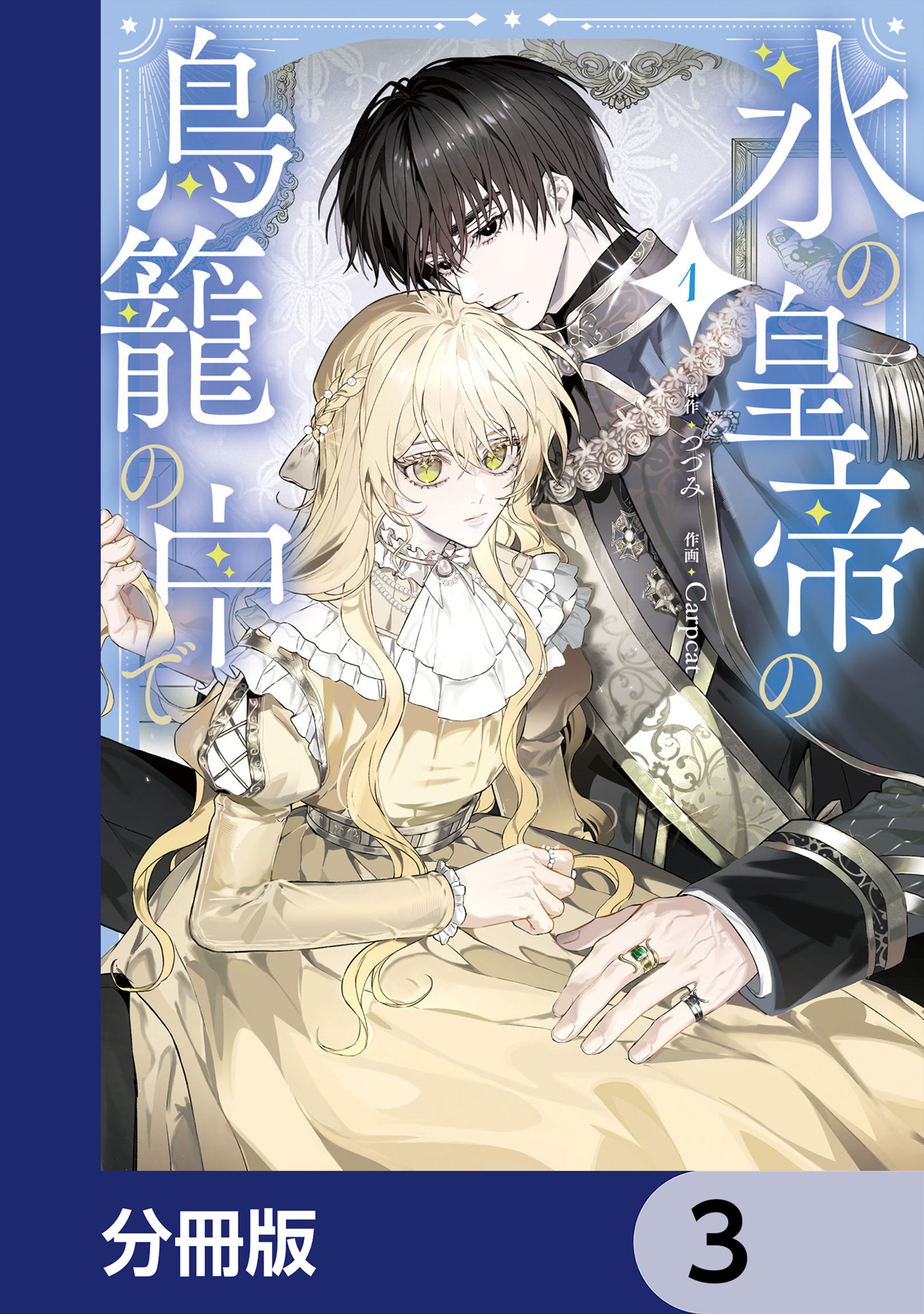 氷の皇帝の鳥籠の中で【分冊版】　3