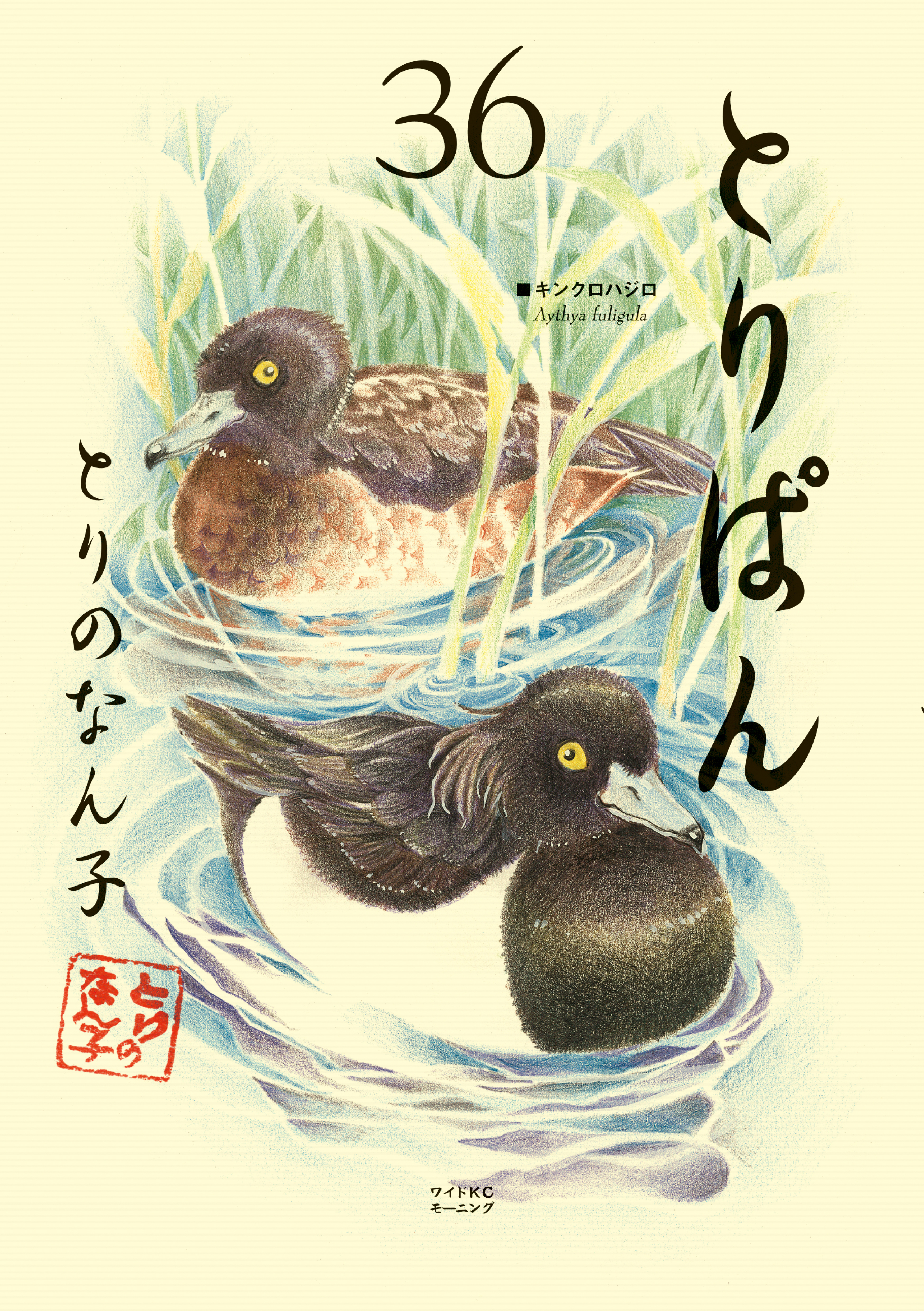 とりぱん（36）